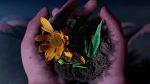 Задник до фильму"" #682008