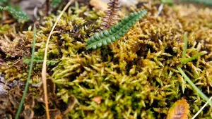 Задник до фильму"" #458315