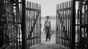 Задник до фильму"Пофарбоване пташеня" #371986