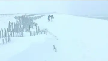 Задник до фильму"Вічне сяйво чистого розуму" #926392