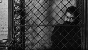 Задник до фильму"Чотириста ударів" #677809
