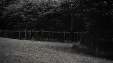 Задник до фильму"Фотозбільшення" #906602