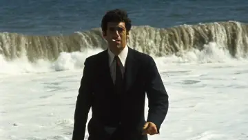Задник до фильму"The Long Goodbye" #214846