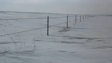Задник до фильму"Фарґо" #1198607