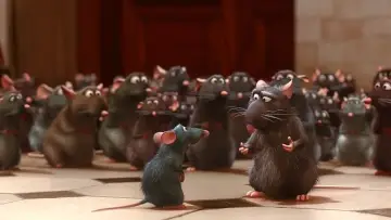 Задник до фильму"Рататуй" #561536