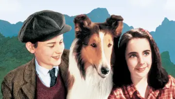 Задник до фильму"Lassie Come Home" #1097303