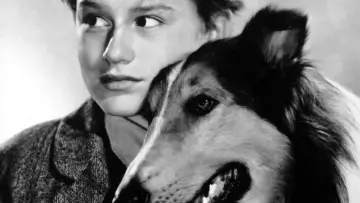 Задник до фильму"Lassie Come Home" #1097305