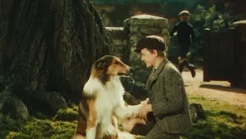 Задник до фильму"Lassie Come Home" #1097306