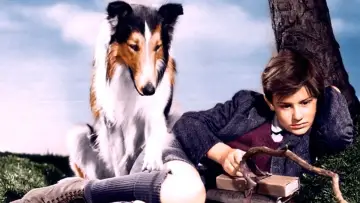 Задник до фильму"Lassie Come Home" #1097307