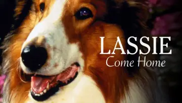 Задник до фильму"Lassie Come Home" #150181