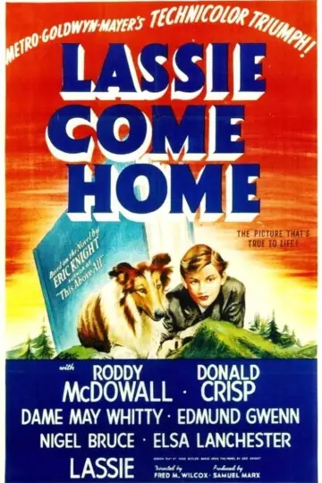 Постер до фильму"Lassie Come Home" #150188