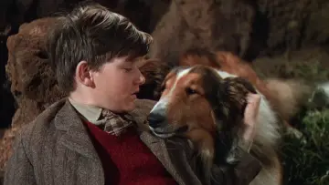Задник до фильму"Lassie Come Home" #457031