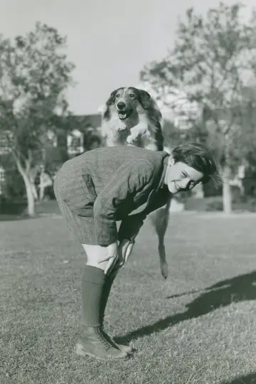 Постер до фильму"Lassie Come Home" #457032