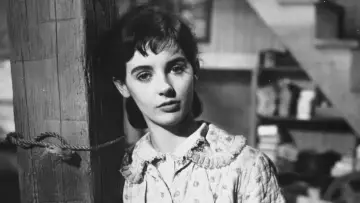 Задник до фільму "The Diary of Anne Frank" #990138