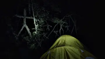 Задник до фильму"Відьма з Блер: Курсова з того світу" #372456