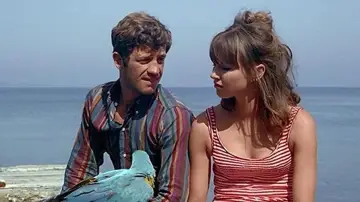 Задник до фильму"Pierrot le fou" #861646