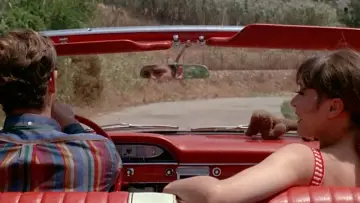 Задник до фильму"Pierrot le fou" #861703
