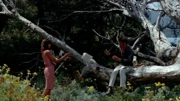 Задник до фильму"Pierrot le fou" #861715