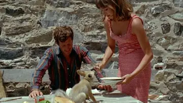 Задник до фильму"Pierrot le fou" #861720
