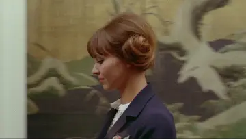 Задник до фильму"Pierrot le fou" #861751