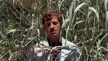 Задник до фильму"Pierrot le fou" #861763