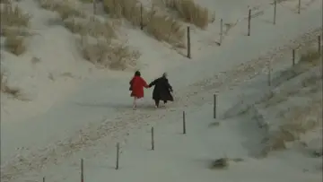 Задник до фильму"Les Amants du Pont-Neuf" #1058848
