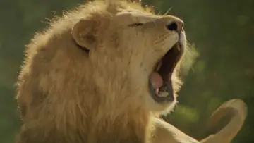 Задник до фильму"Roar" #432240