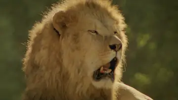 Задник до фильму"Roar" #432243