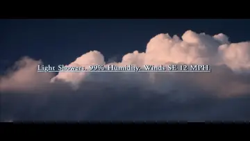 Задник до фільму "Магнолія" #1801126
