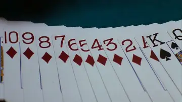 Задник до фильму"Магнолія" #670119