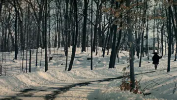 Задник до фільму "Долина ляльок" #1532550