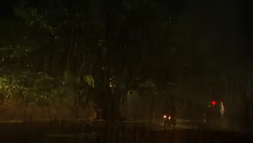Задник до фільму "Monsoon Wedding" #1083743