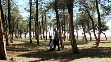Задник до фильму"El espíritu de la colmena" #985702