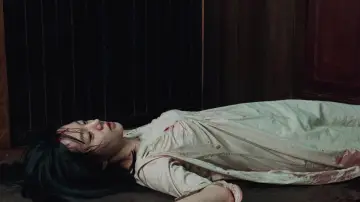 Задник до фильму"Історія двох сестер" #811000