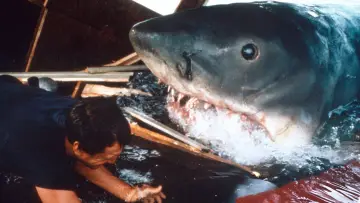 Задник до фильму"Щелепи" #521063