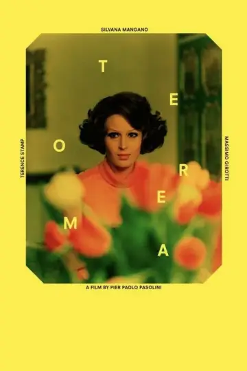 Постер до фильму"Теорема" #239898