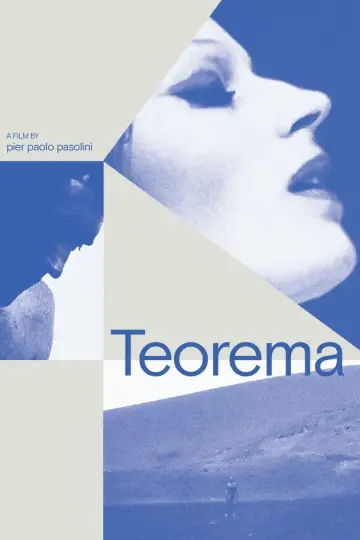 Постер до фильму"Теорема" #239905