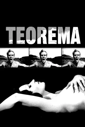 Постер до фильму"Теорема" #904938