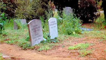 Задник до фильму"Family Plot" #376197