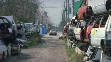Задник до фільму "Феєрверк" #944431