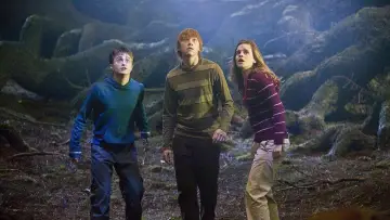 Задник до фильму"Гаррі Поттер та Орден Фенікса" #959880