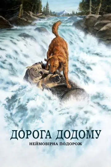 Постер до фильму"Дорога додому: Неймовірна подорож" #868943