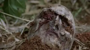 Задник до фильму"Zombi 2" #273790