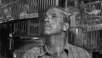 Задник до фільму "Birdman of Alcatraz" #358108