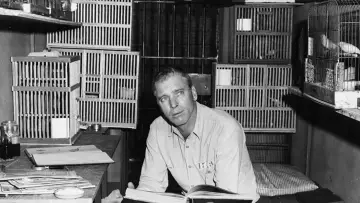 Задник до фільму "Birdman of Alcatraz" #358110