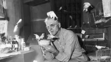 Задник до фільму "Birdman of Alcatraz" #883935