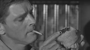 Задник до фільму "Birdman of Alcatraz" #883939