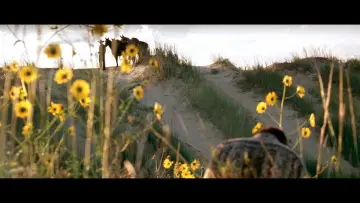 Задник до фильму"The Three Burials of Melquiades Estrada" #992157
