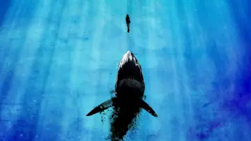 Задник до фильму"Глибоке синє море" #310160