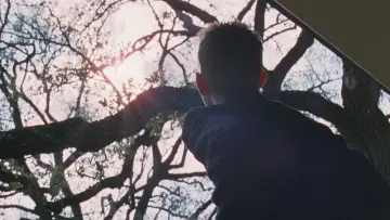 Задник до фильму"Древо життя" #852814